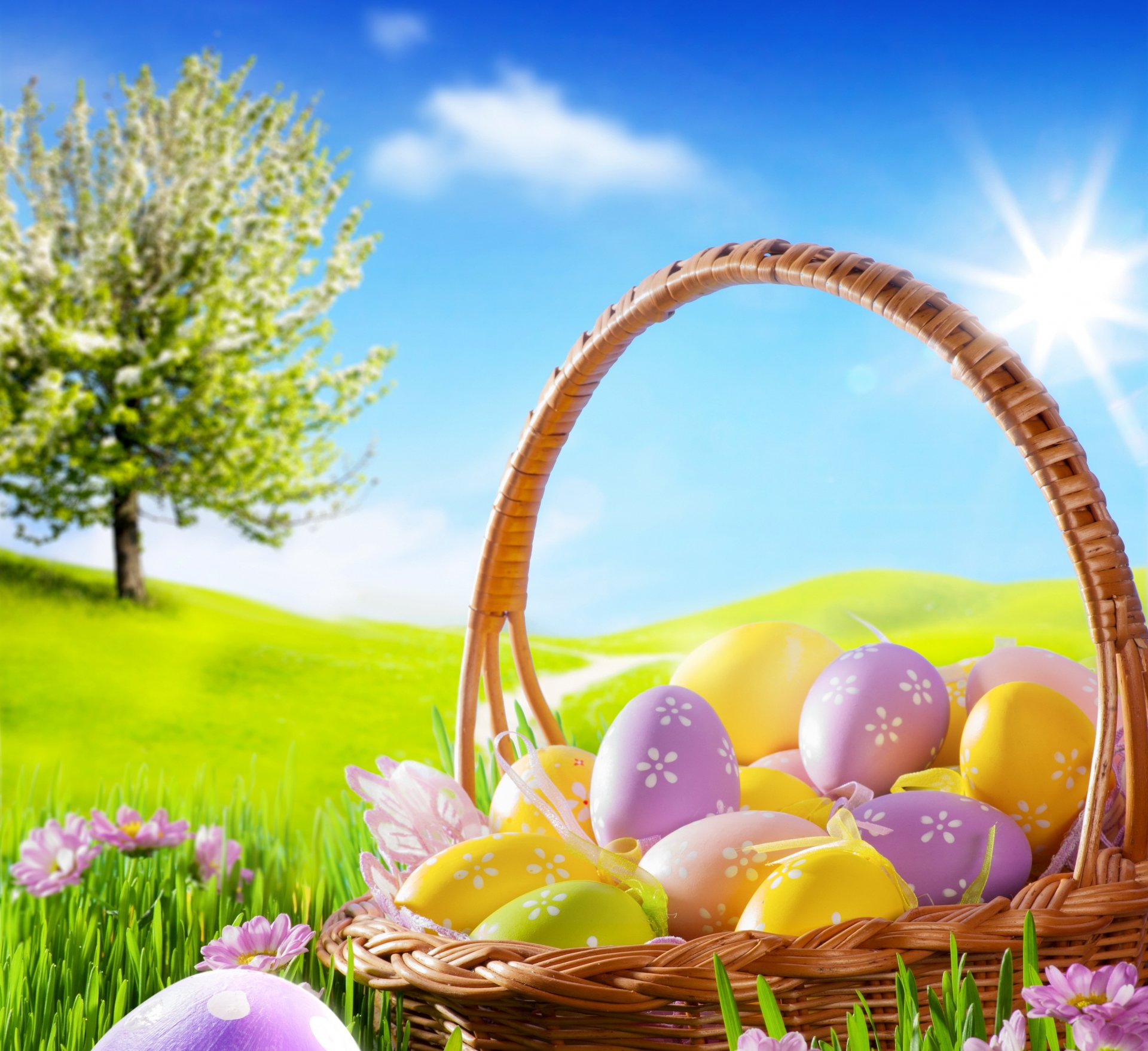 easter spring sun meadow grass flowers eggs daisies blue sky basket spring