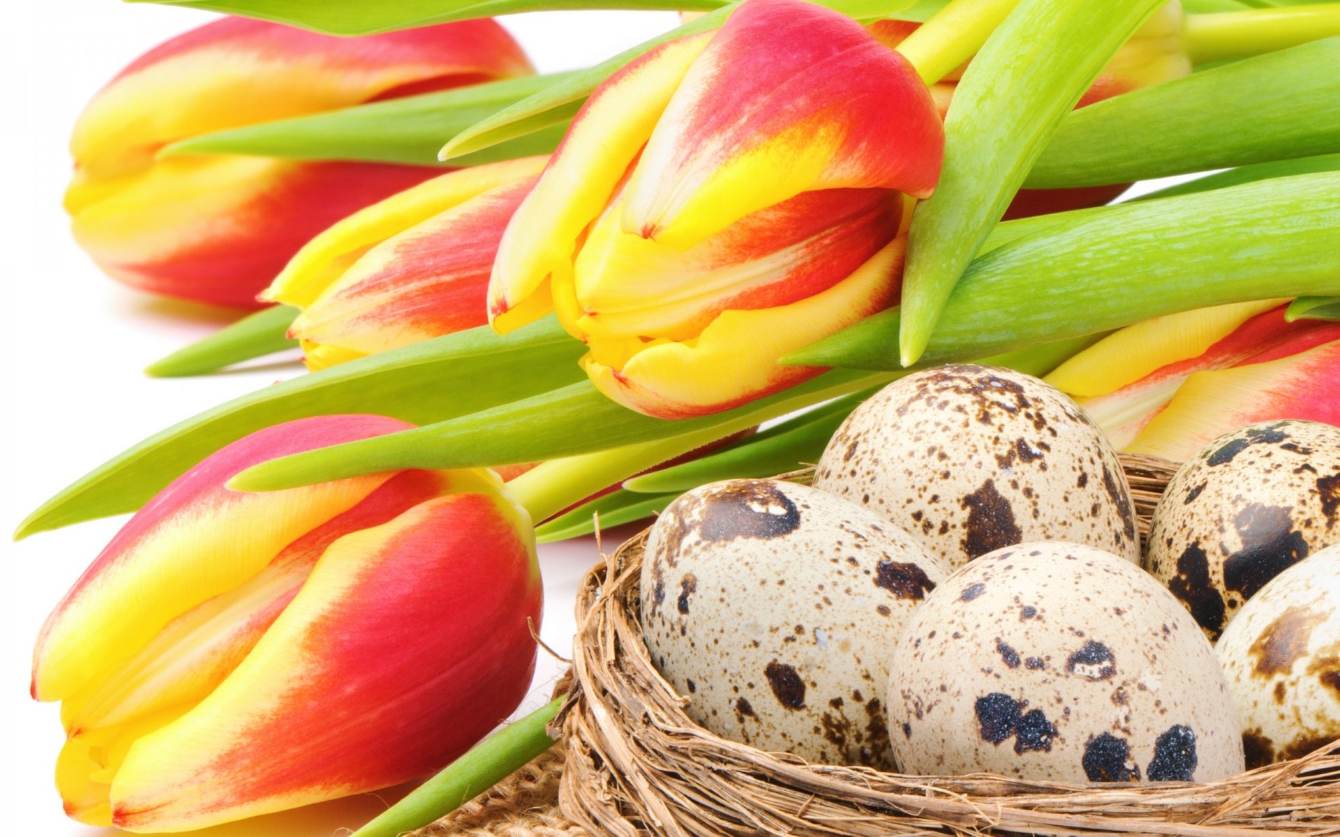 easter holiday bouquet flowers tulips red yellow eggs nest flower red and yellow