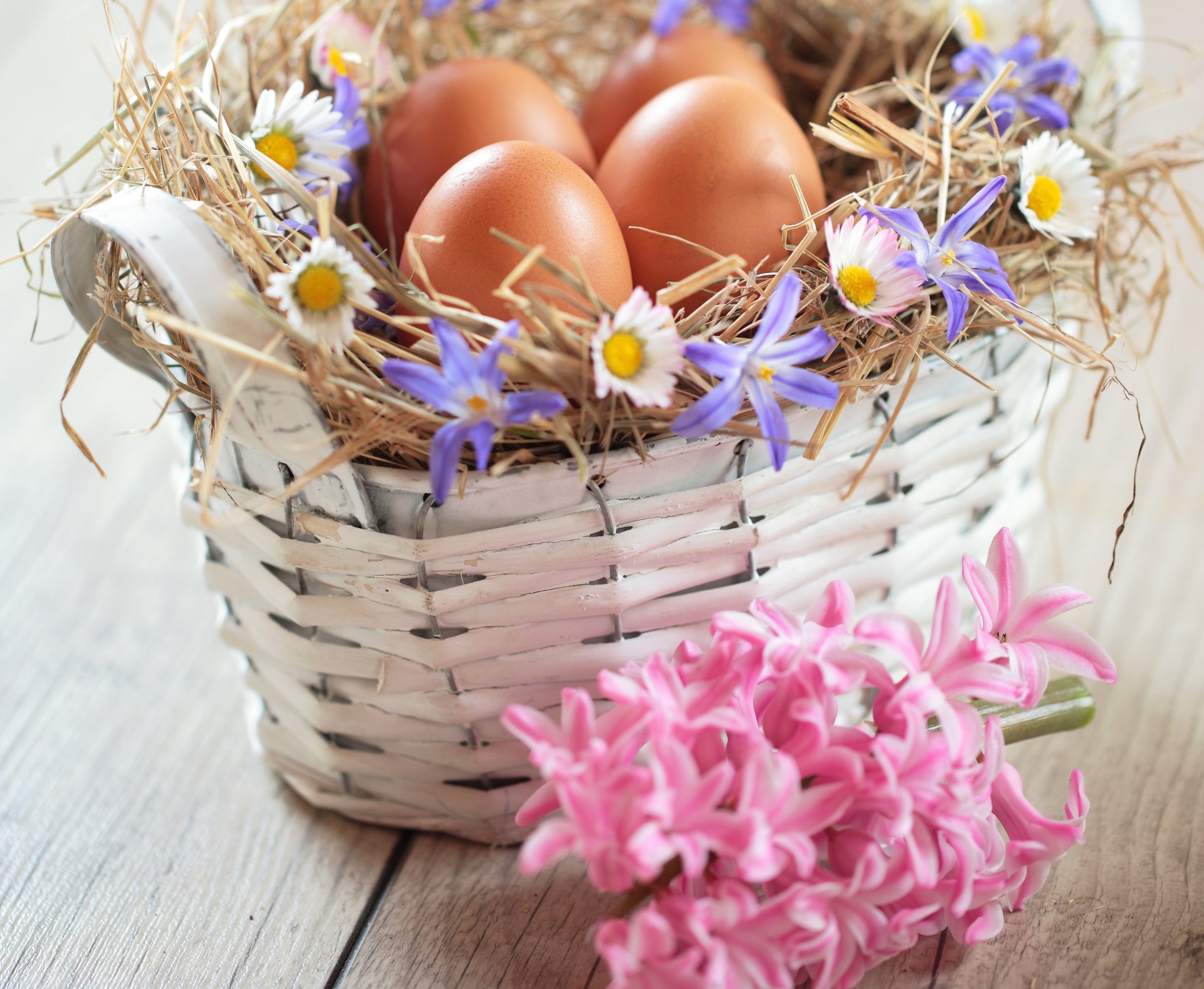 pâques oeufs oeufs de pâques