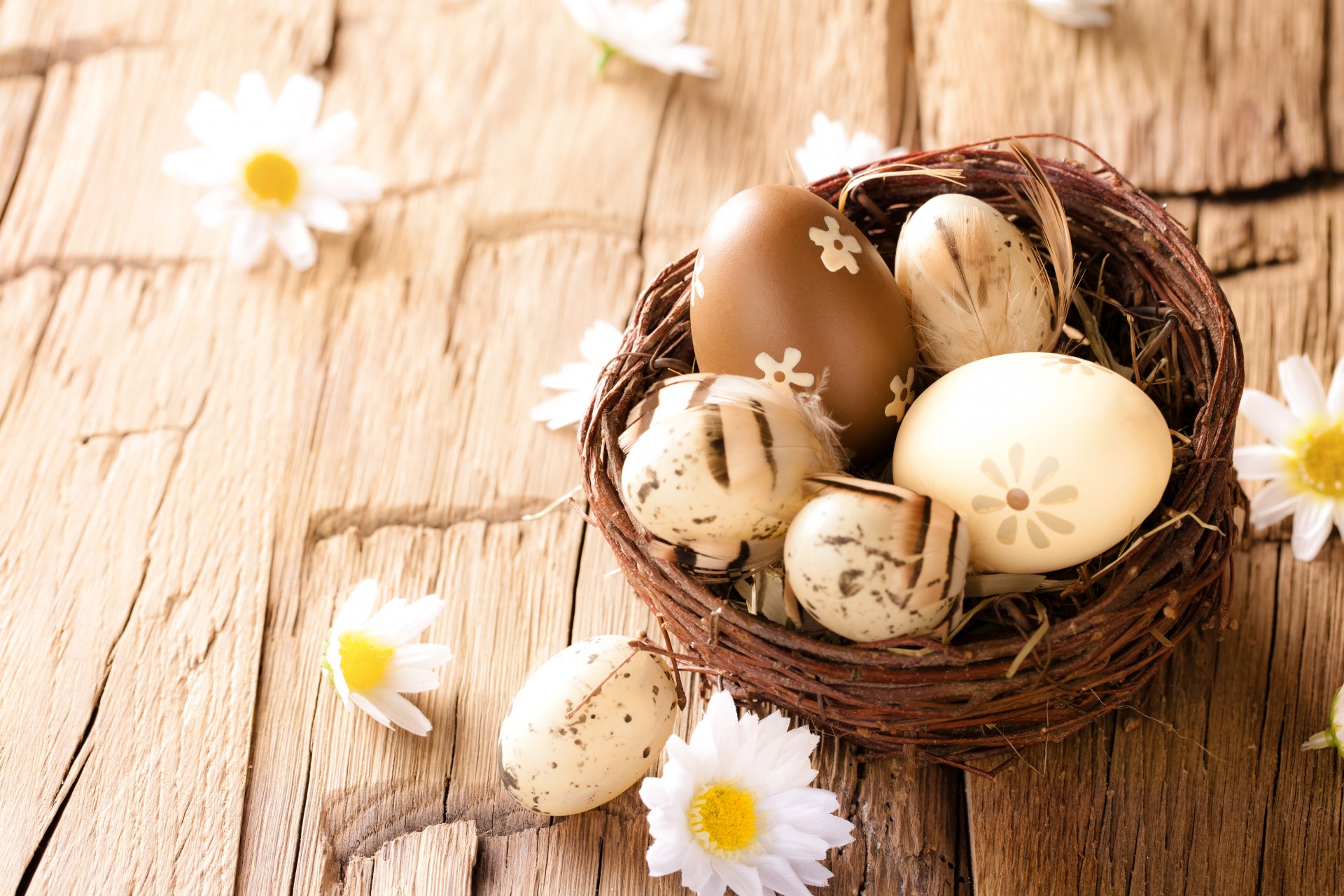 pascua huevos árbol flores margaritas