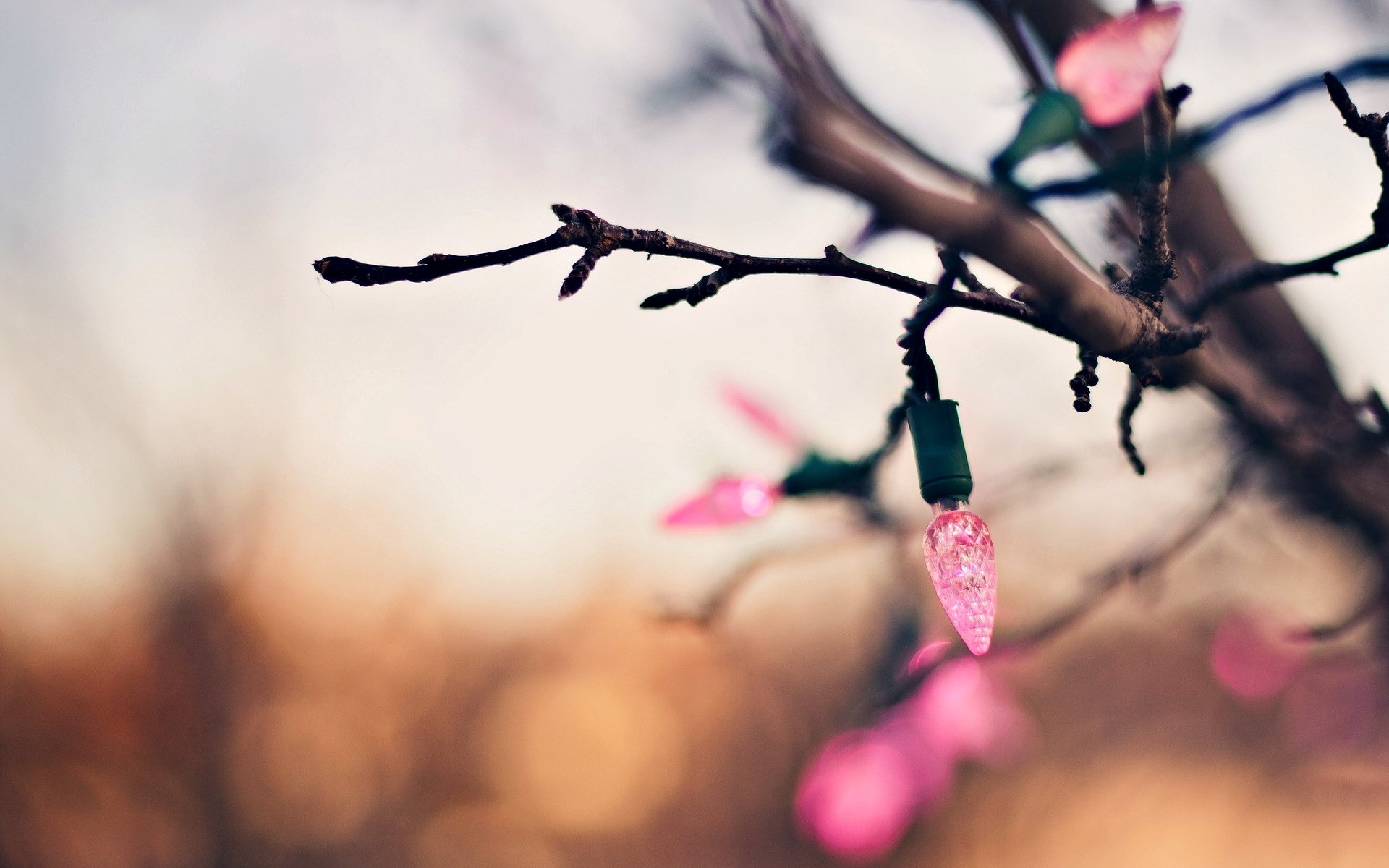 holiday close up tree branch garland lights pink bokeh blur background wallpaper widescreen full screen hd wallpaper