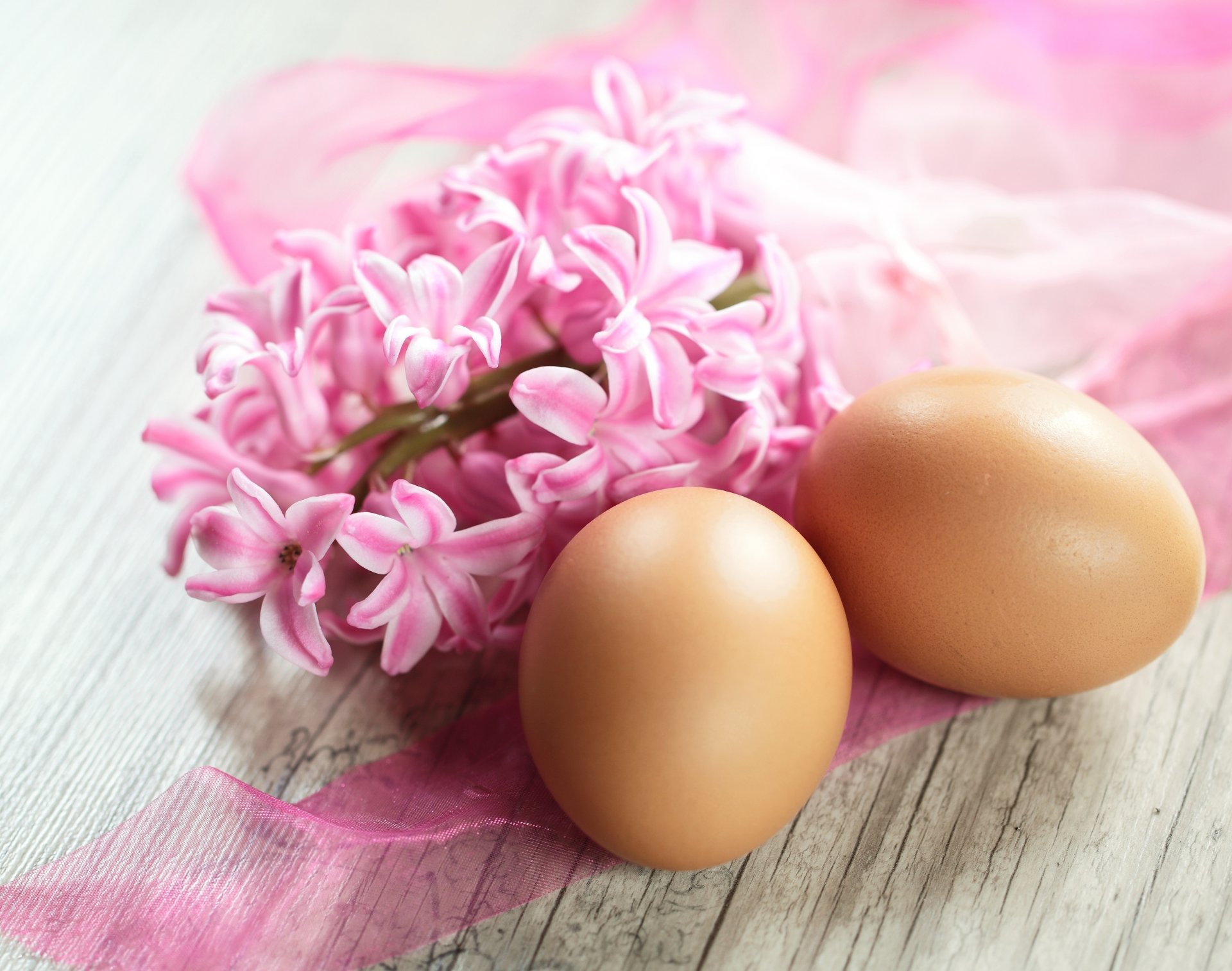 pascua huevos huevos de pascua