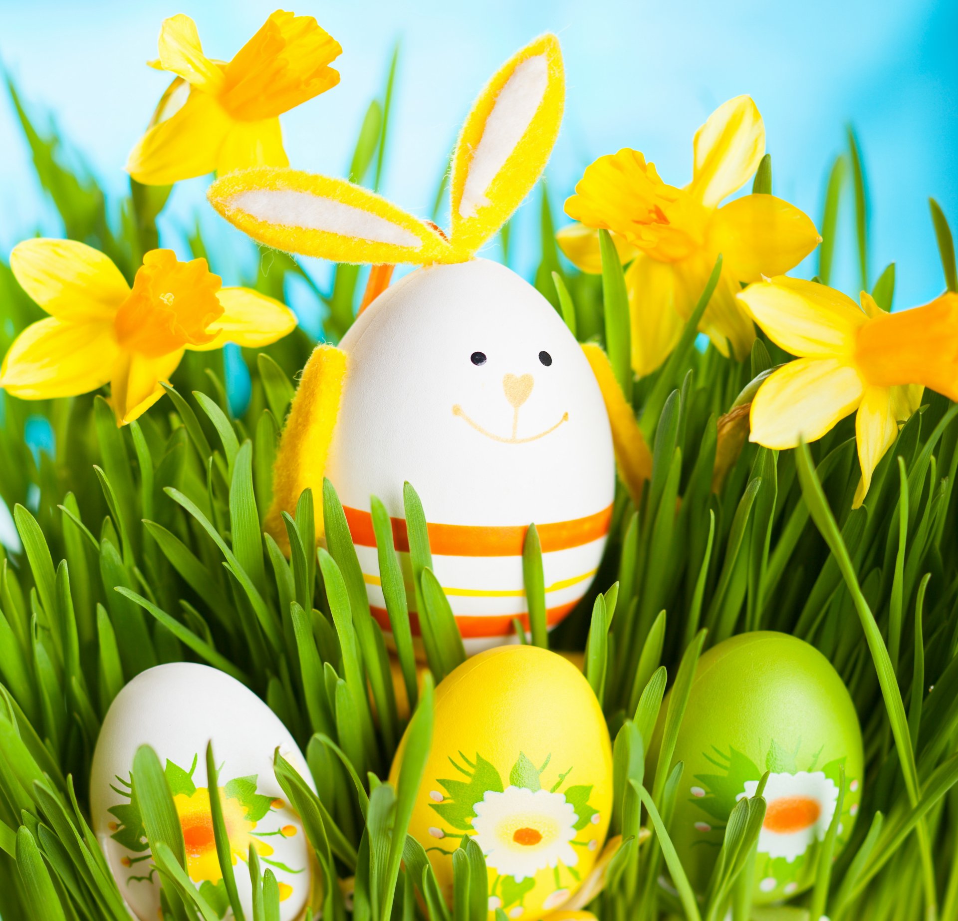 easter rabbit spring daffodils grass flowers eggs spring