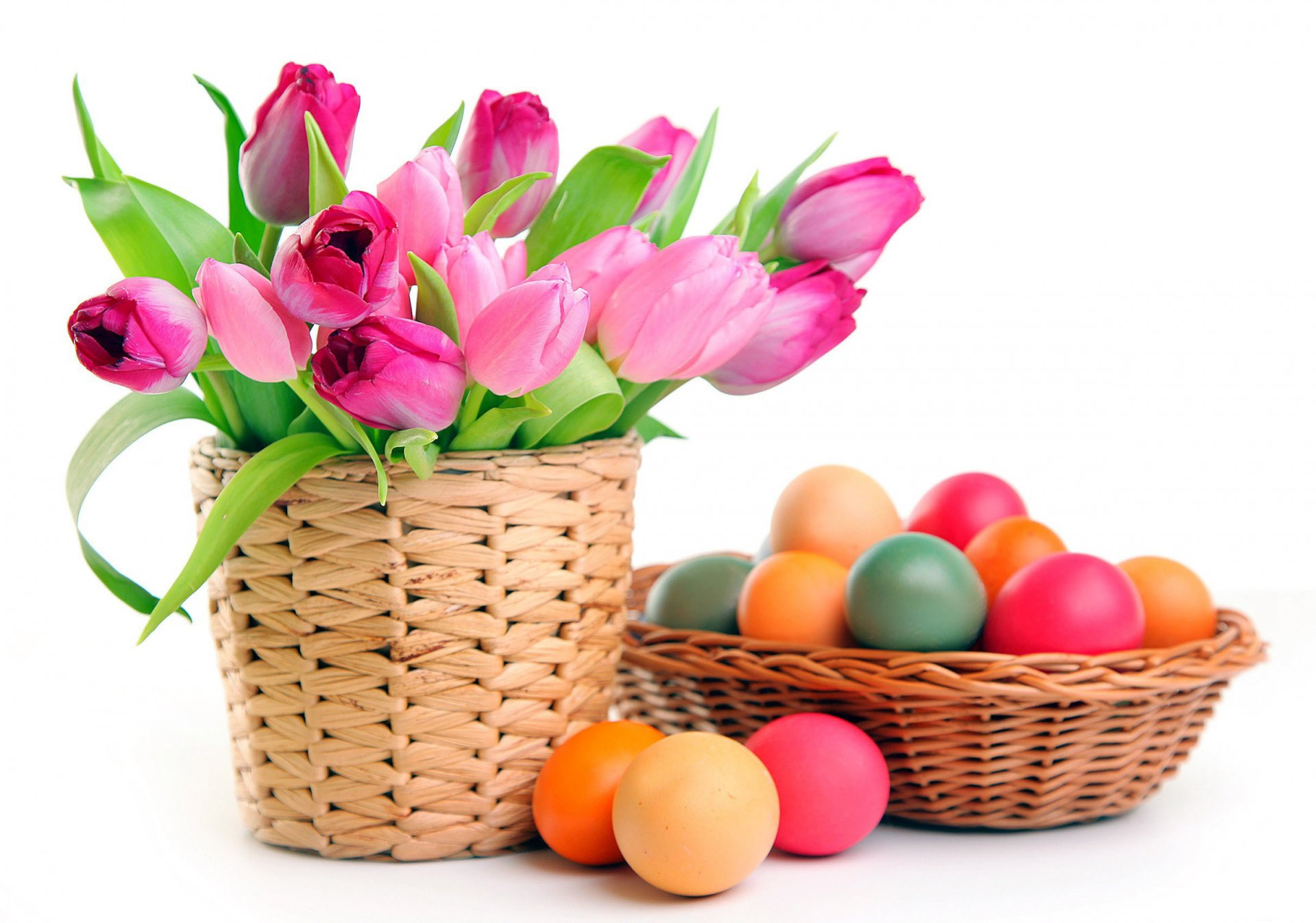 easter tulips eggs white background