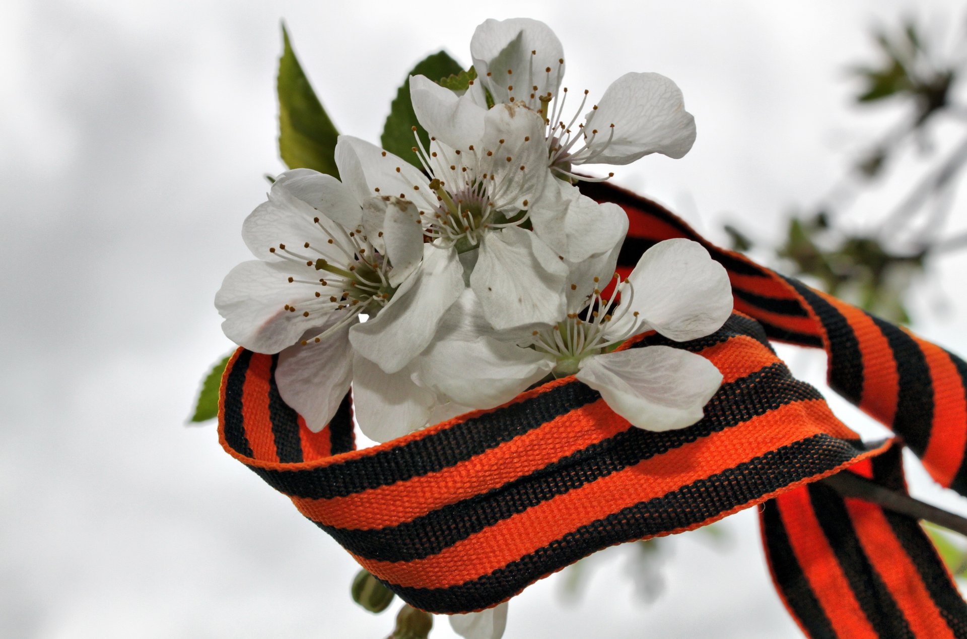 victory day st. george s ribbon flower