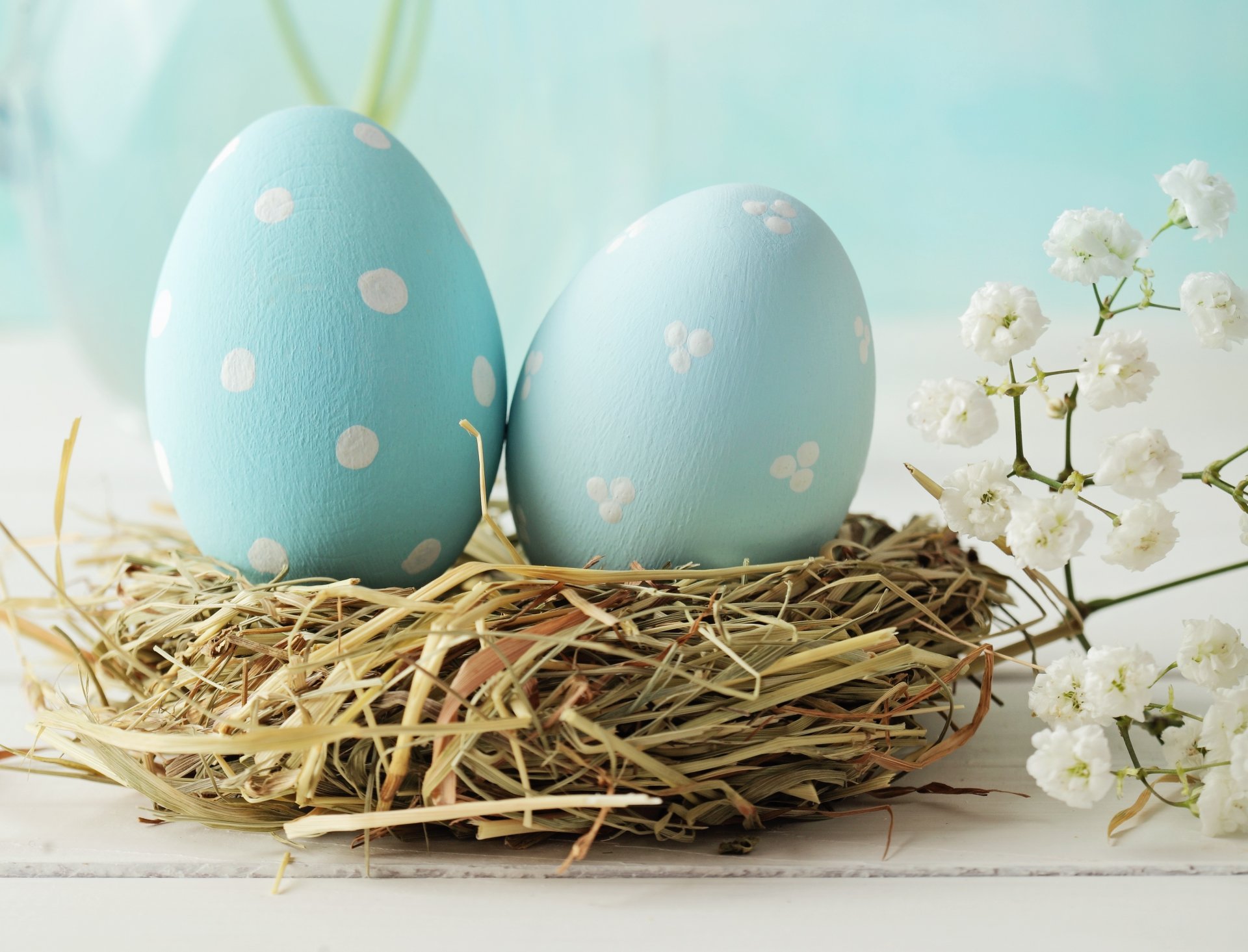 feiertag ostern nest hoden blumen