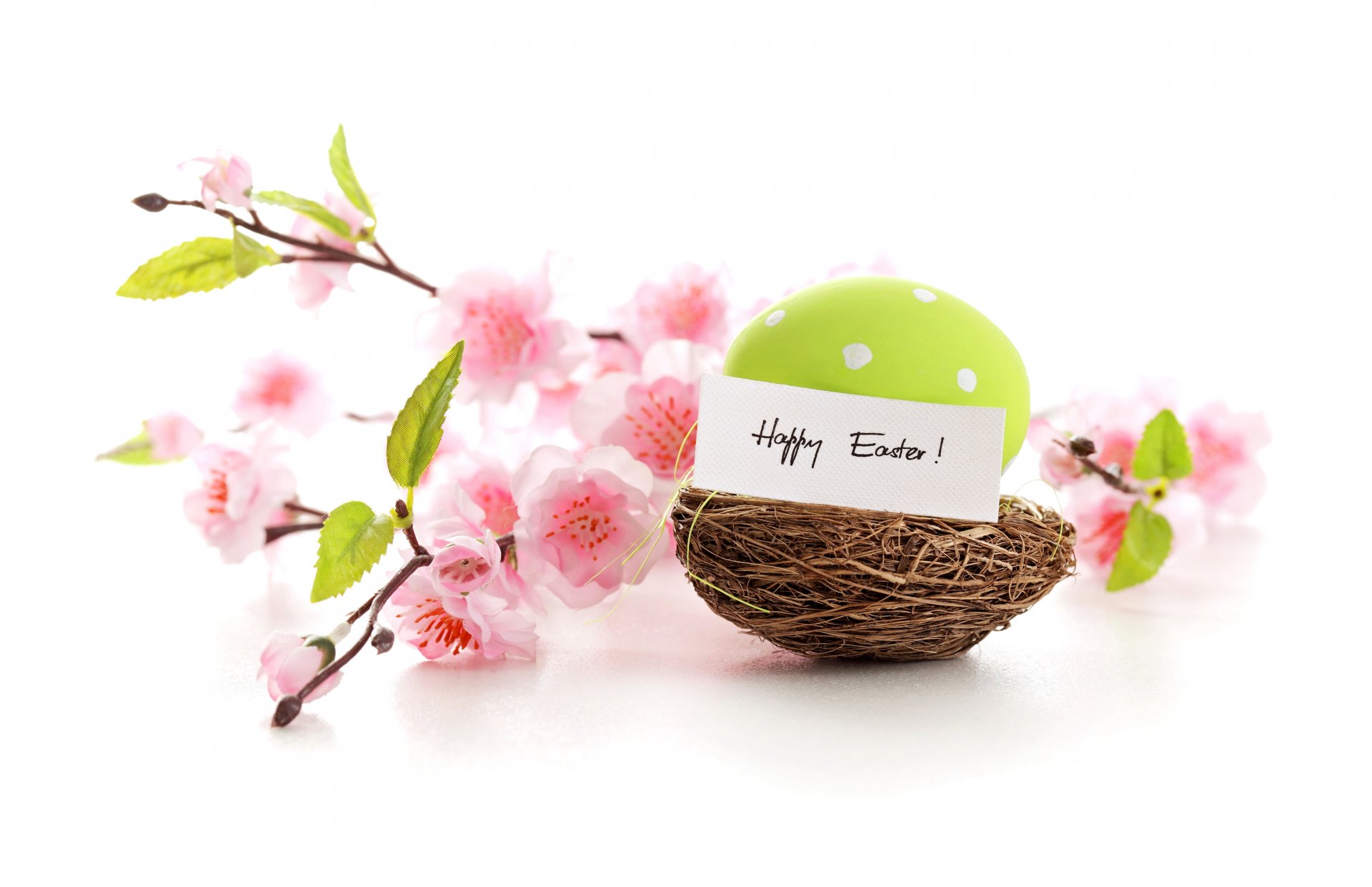 easter happy pink blossom nest spring flowers eggs pastel delicate flower