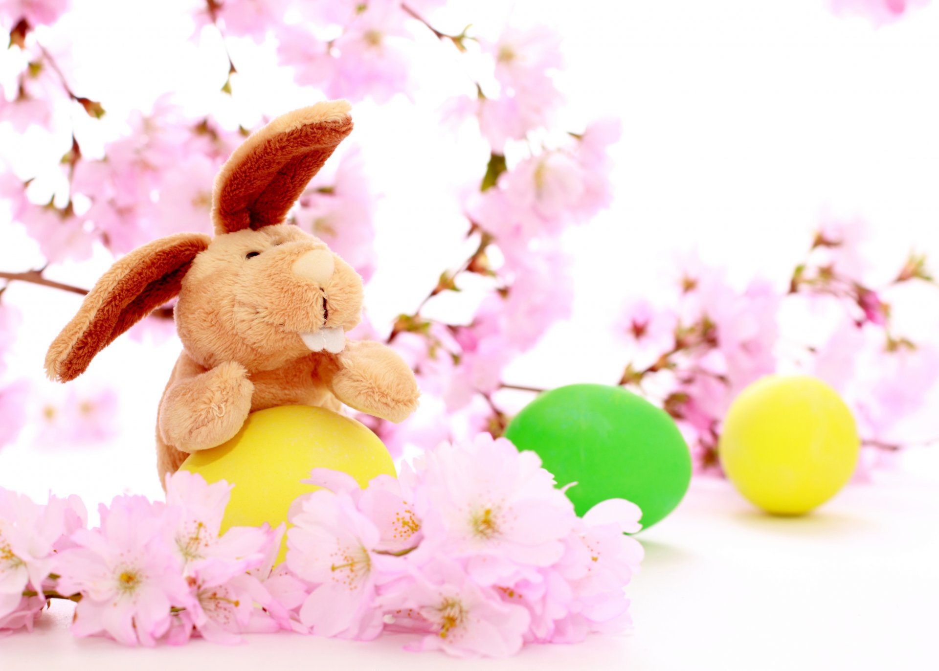 holiday easter cherry blossoms rabbit colored ball