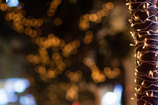 Glitzer von Weihnachtsgirlanden im Fenster