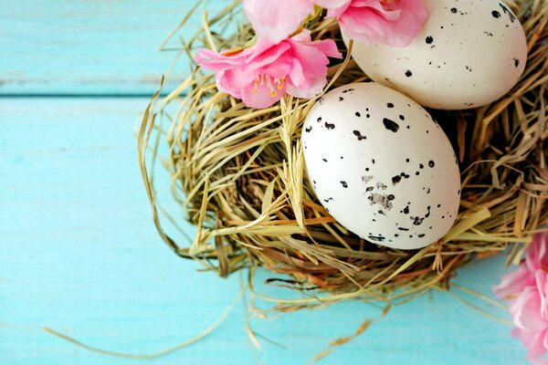 Easter eggs in straw on a blue background