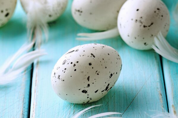 Eier und Federn auf blauem Holzhintergrund