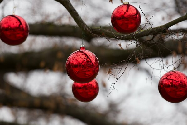 Weihnachtsspielzeuge auf trockenen Ästen eines Baumes