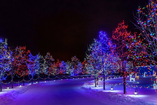 Parque nocturno decorado para el año Nuevo