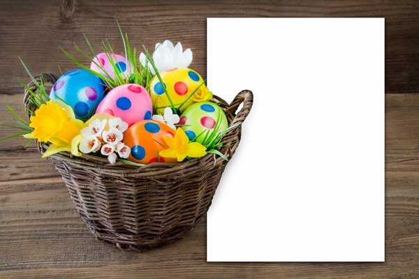 Easter eggs in a basket with daffodils