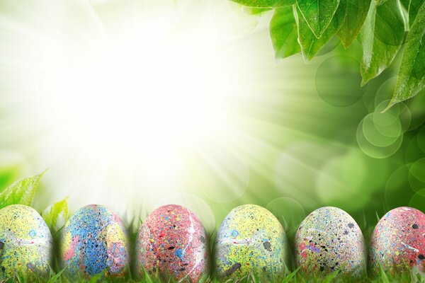 Beaux oeufs de Pâques sur l herbe verte