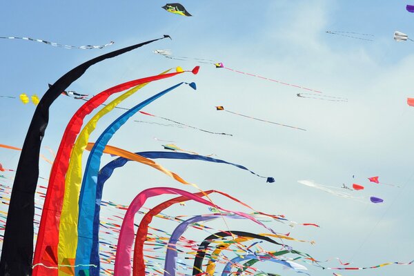 Festival de serpientes coloridas y multicolores