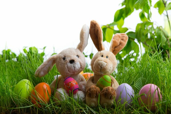 Uova di Pasqua e peluche