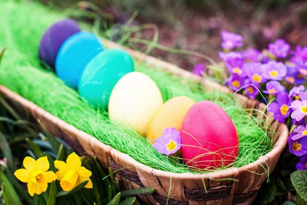 Oeufs de Pâques colorés dans un panier avec de l herbe