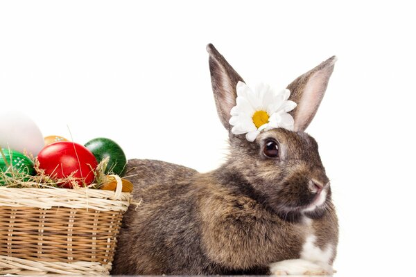 Conejito de Pascua con flor y cesta