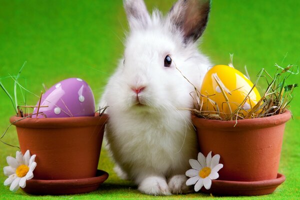 Lindo conejo entre las macetas de huevos de Pascua