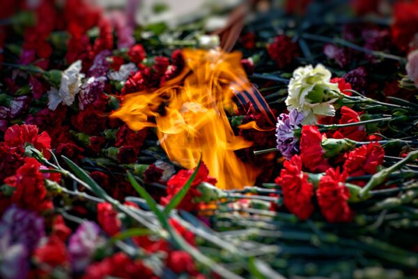 Feu Éternel et bouquets d oeillets