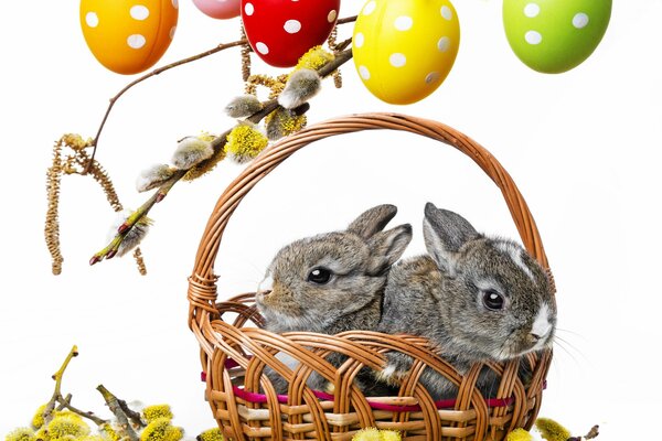 Piccoli coniglietti nel cestino di Pasqua