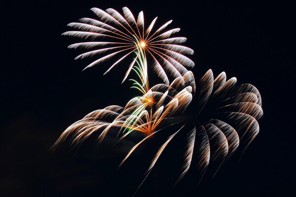 Schönes Feuerwerk am Nachthimmel