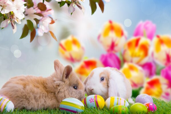 Fluffy bunnies on the grass with Easter eggs