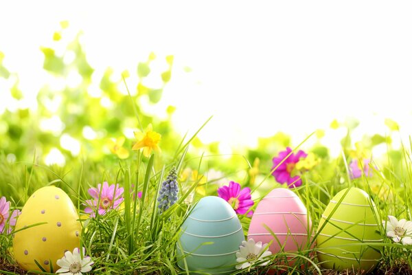 Colorful Easter eggs in wildflowers