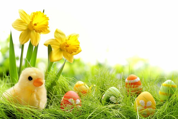 Vacanze di primavera Pasqua