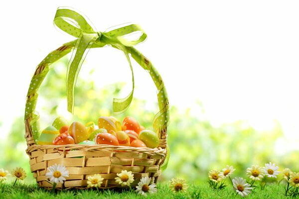 Easter basket in the field of daisies