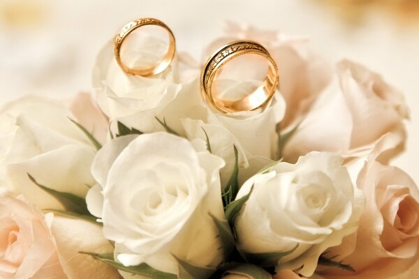 La foto más tierna de rosas blancas con anillos de boda