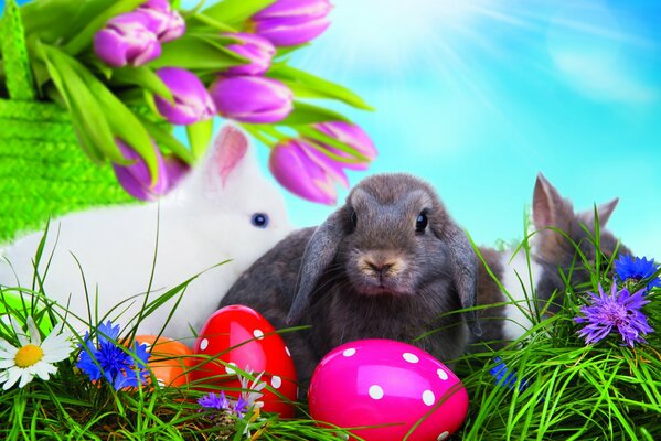 Easter photo of rabbits and painted eggs