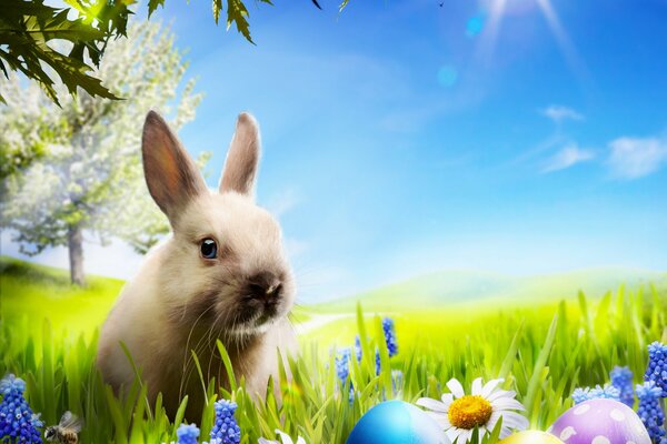 Easter bunny in the green grass and beautiful eggs nearby