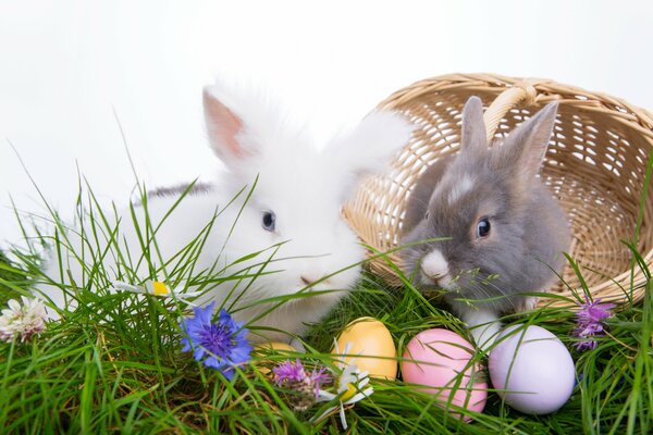 Huevos de Pascua junto a conejos