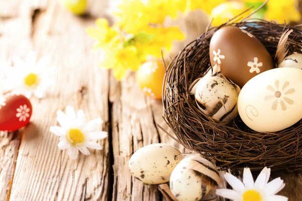 Ostereier in einem Korb mit Gänseblümchen