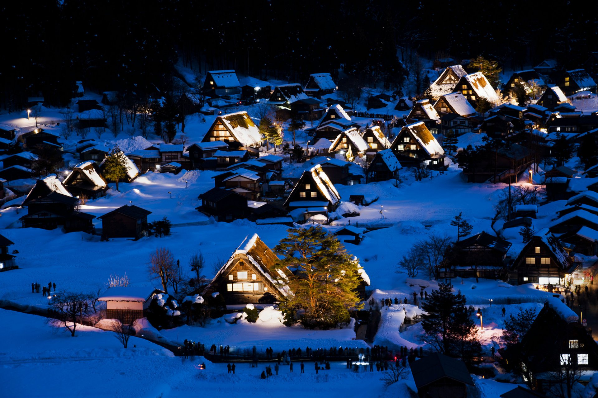 shirakawa-go gokayama isla de honshu japón noche luces invierno casas nieve