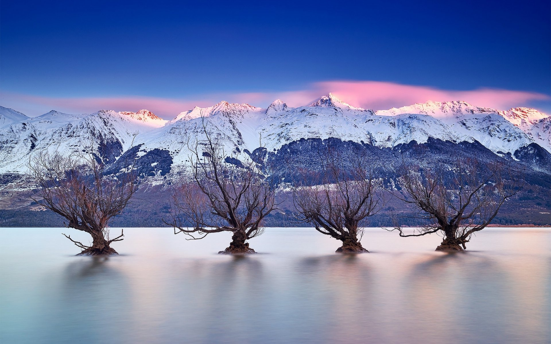 lago wakatipu queenstown nueva zelanda alpes del sur lago wakatipu queenstown lago montañas árboles