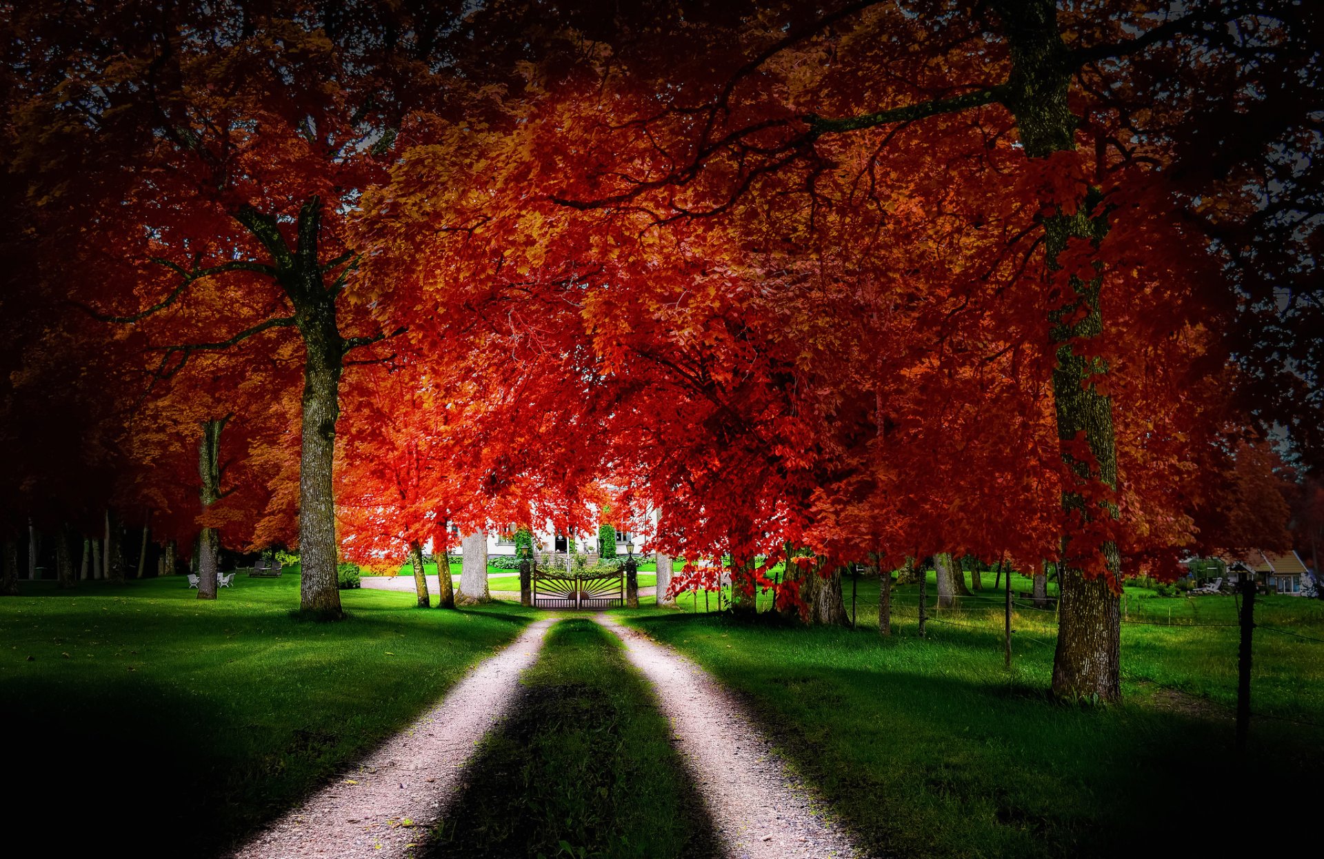 casa cortile cancello strada erba alberi foglie autunno