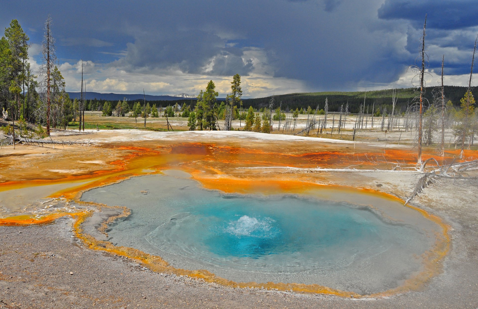 cielo nuvole alberi lago geyser