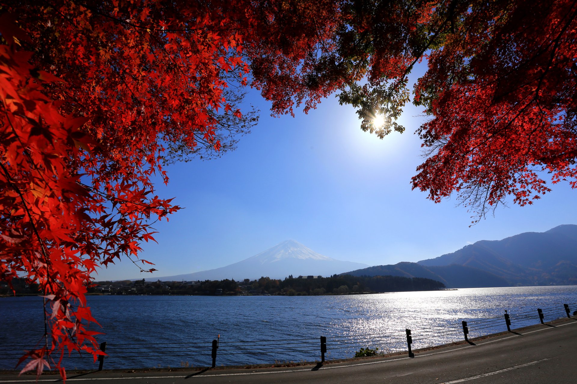 giappone monte fuji strada fiume montagna fujiyama rami foglie