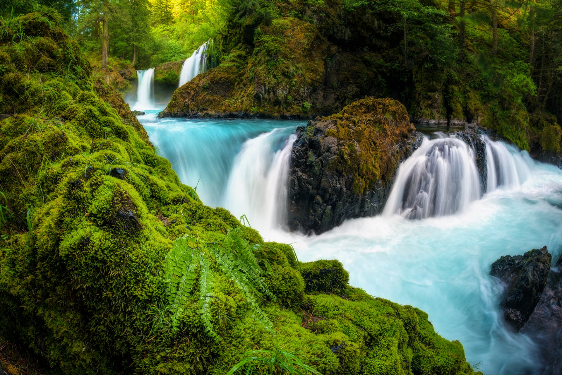 spirit falls gorge de la rivière columbia washington washington dc cascade cascade rivière pierres mousse fougère forêt