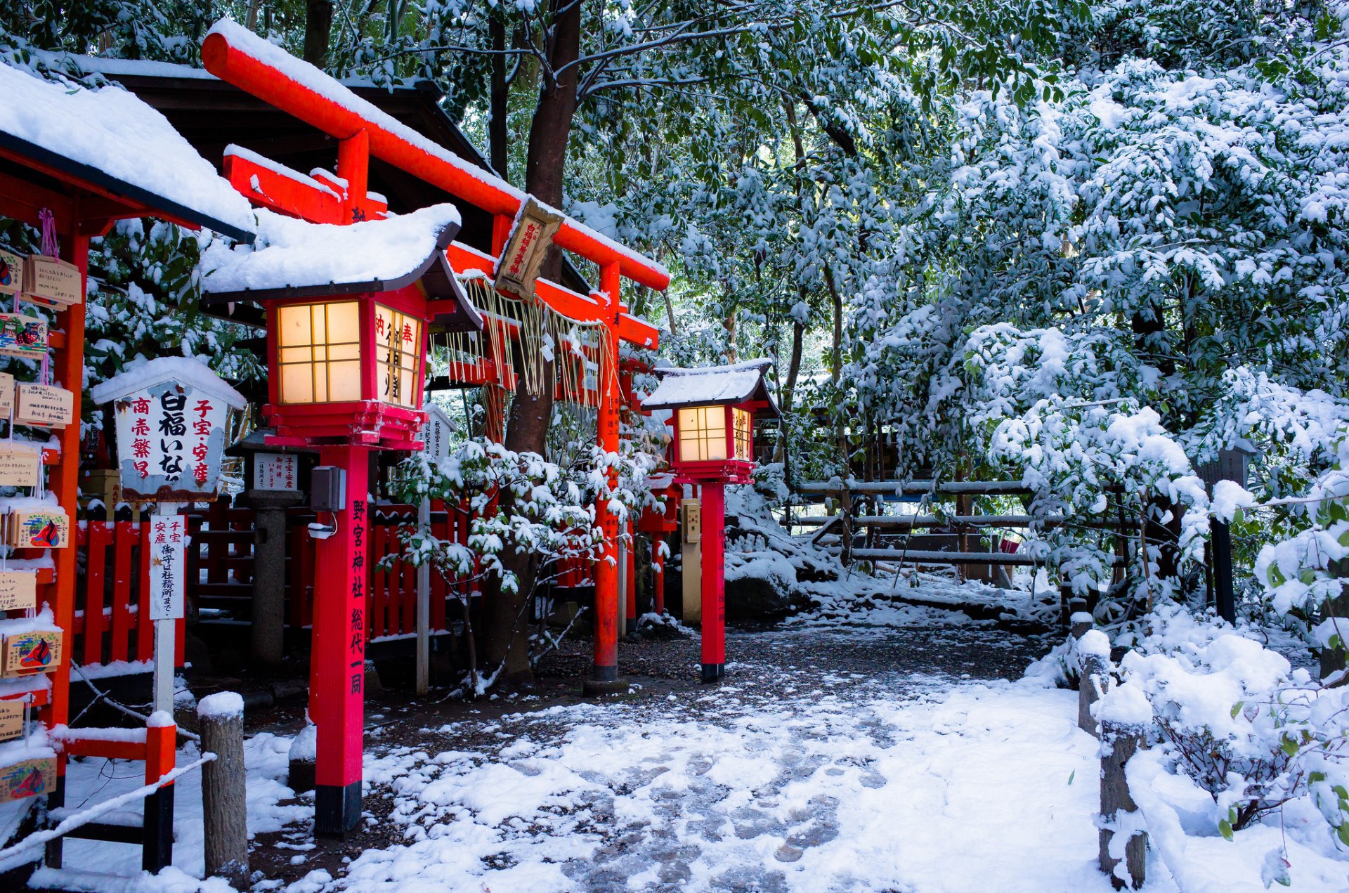 nonomiya-tempel torii-tor kyoto japan nonomiya-tempel torii kyoto tempel tor laternen winter schnee