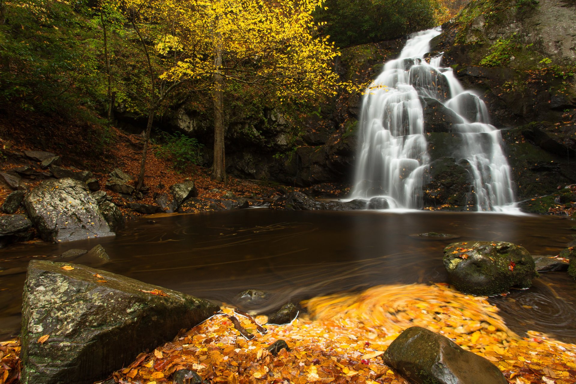 pruce flats falls great smoky mountains national park tennessee waterfall stage river stones leaves autumn