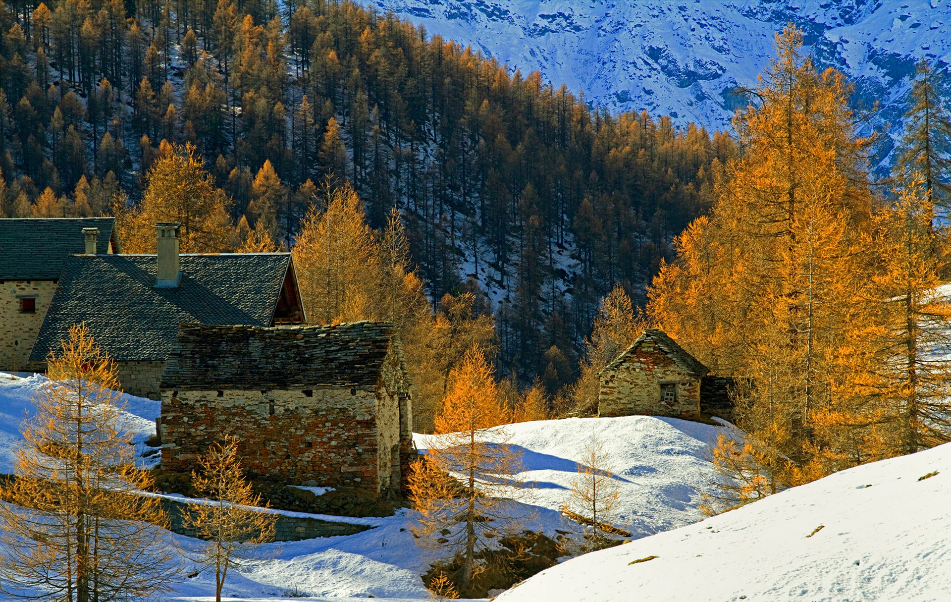 montagne case neve alberi autunno