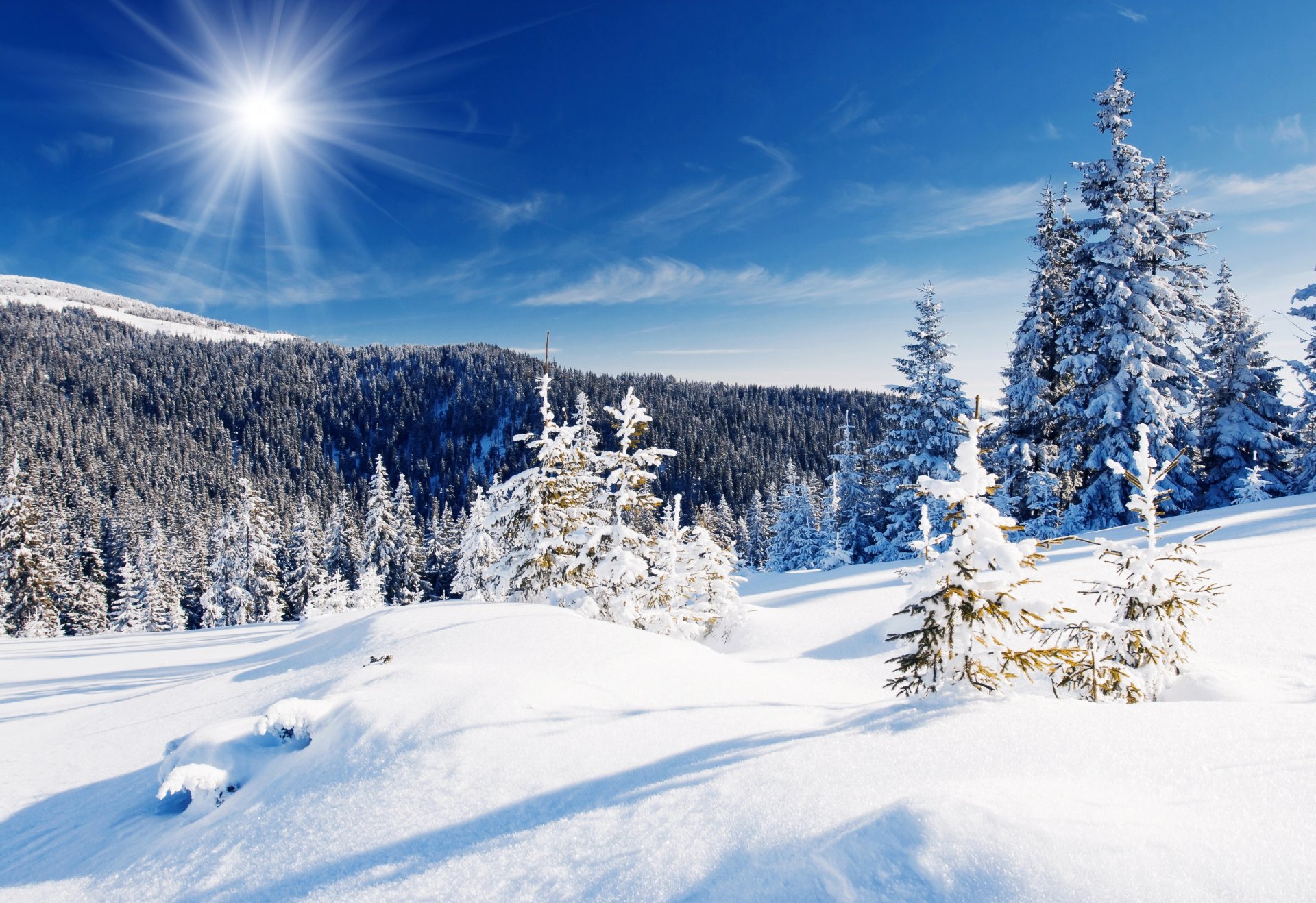 neve inverno foresta alberi cumuli di neve cielo blu raggi del sole