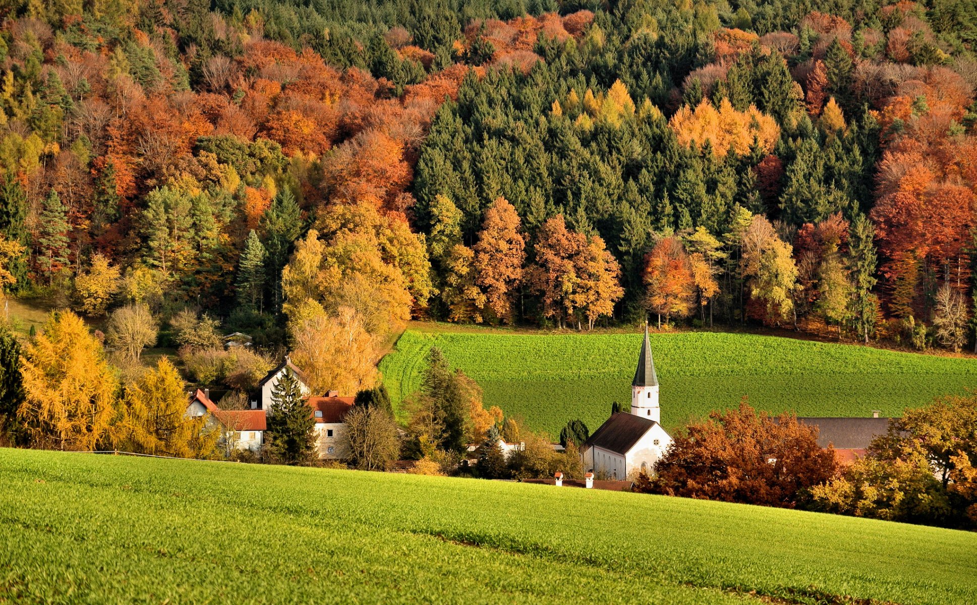 collines forêt champ maison église arbres automne