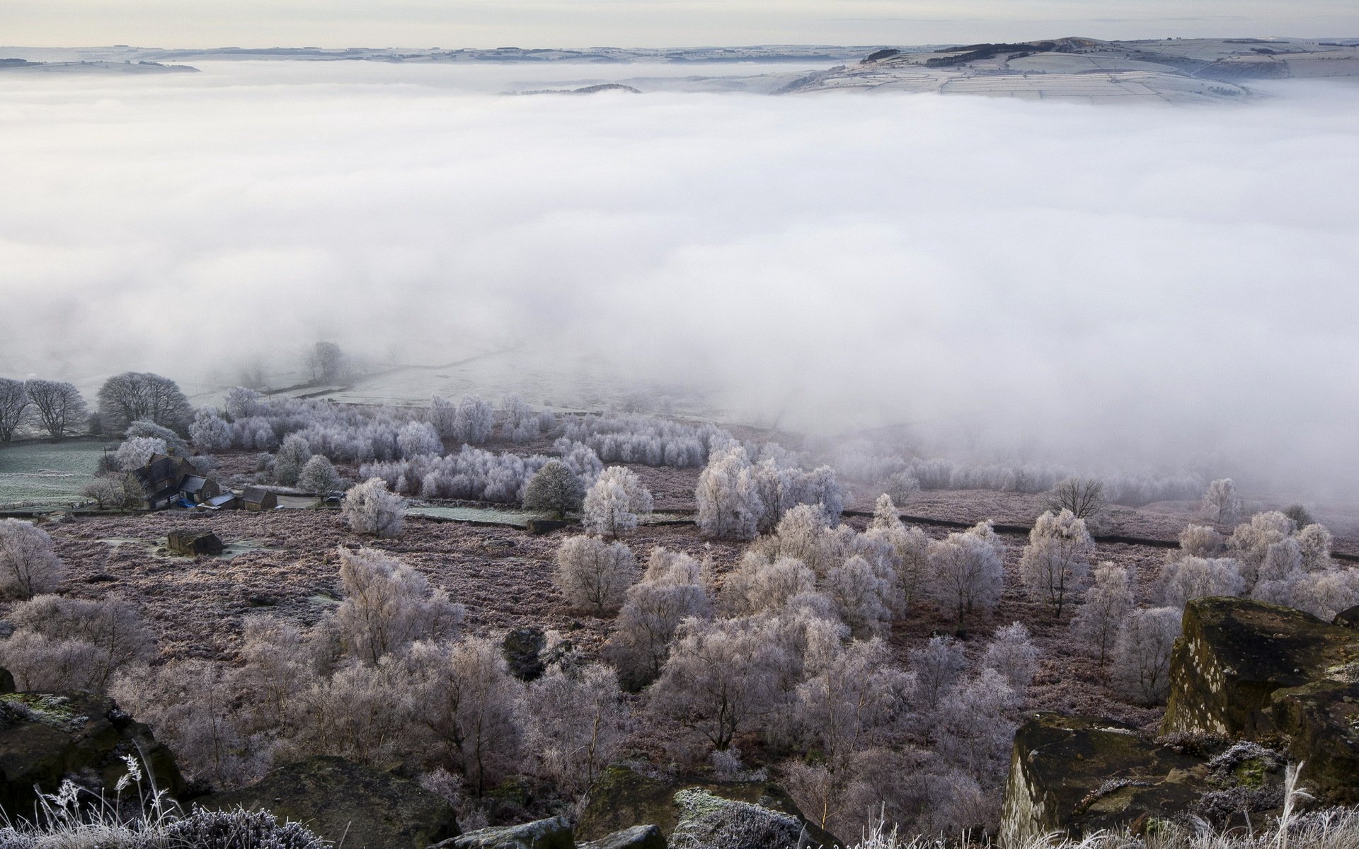 feld nebel tal landschaft