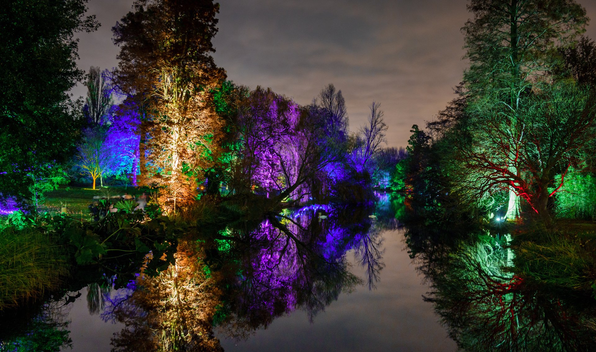 noche parque estanque árboles luz luces