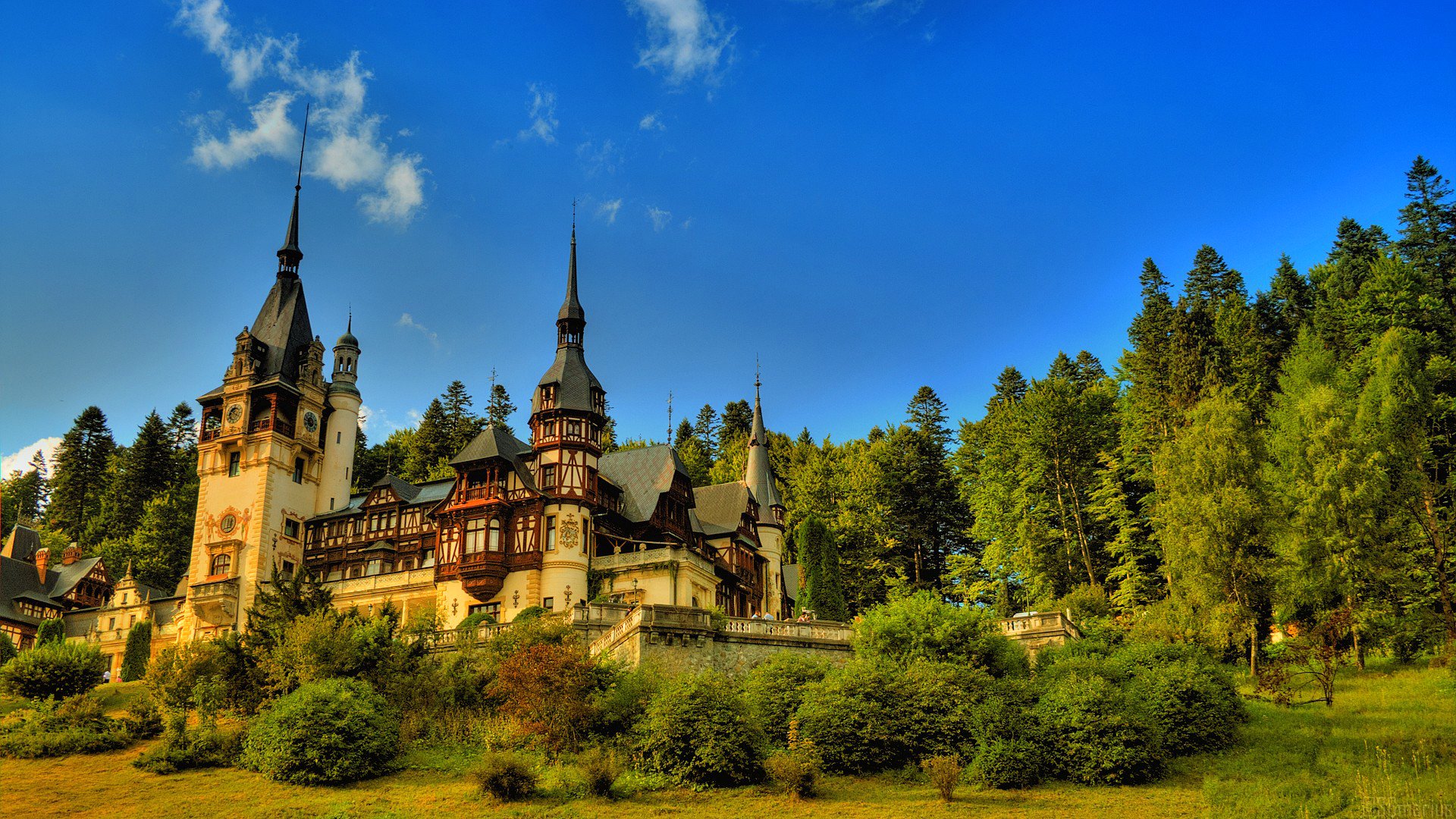 ky forest tree castle house tower